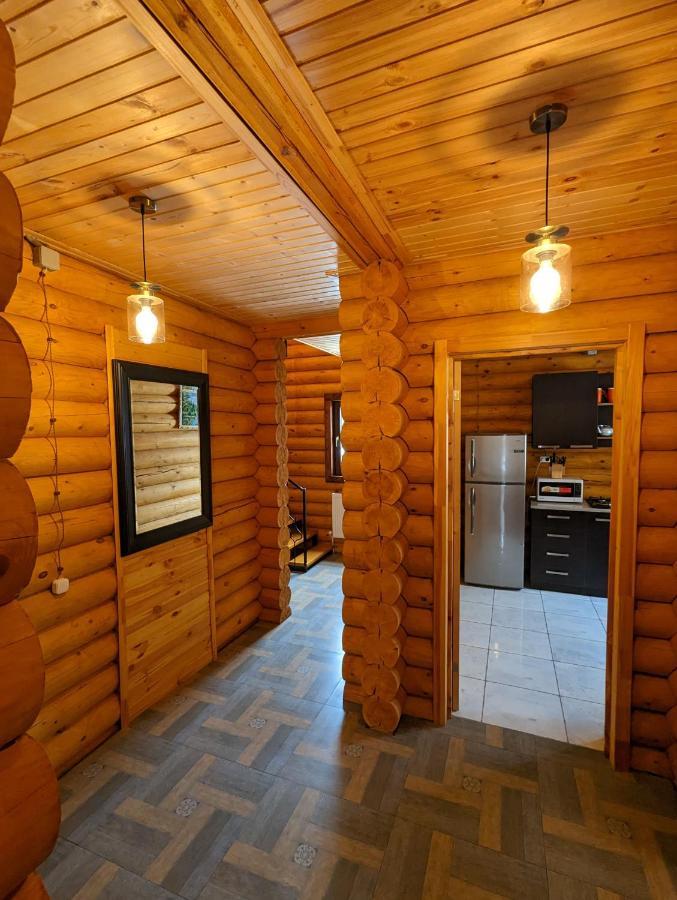 הוילה באקוריאני Log House מראה חיצוני תמונה